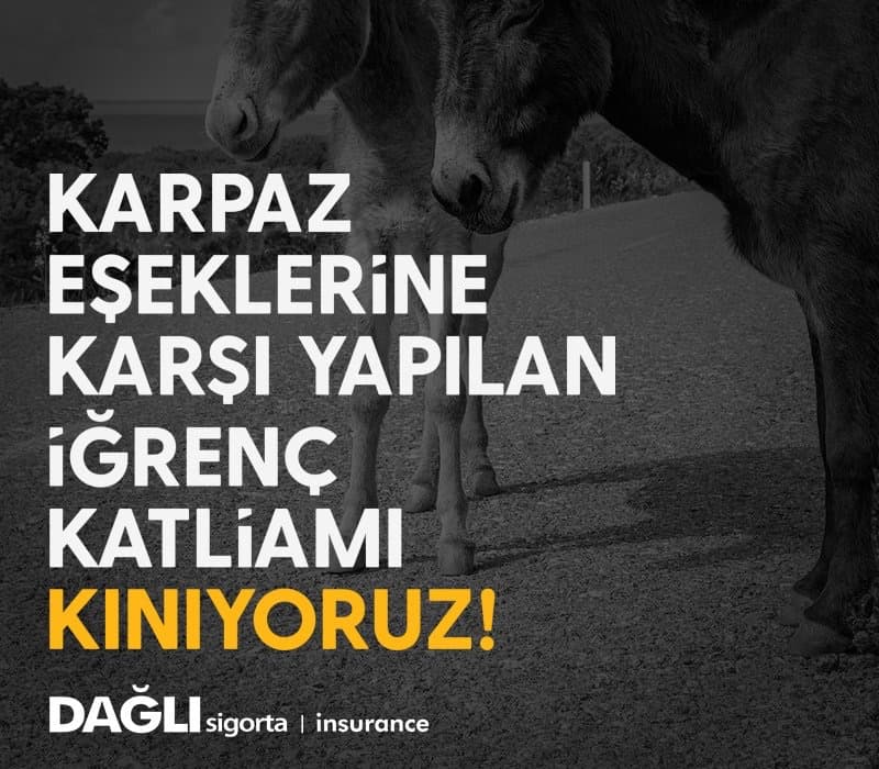 Karpaz eşeklerine yapılan çirkin katliamı şiddetle kınıyoruz!