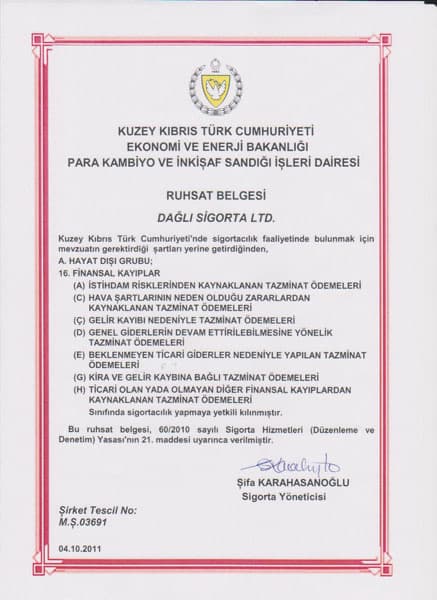 Finansal Kayıplar Ruhsatname Belgesi